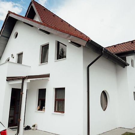 Autentic Adorabil Apartment Albestii Paminteni Eksteriør billede