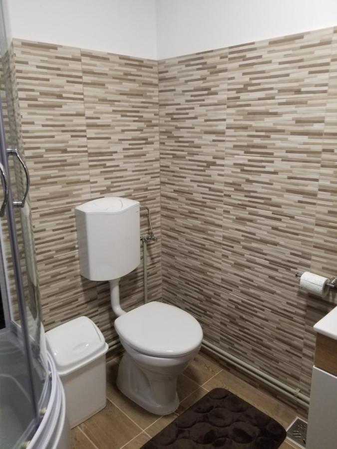 Autentic Adorabil Apartment Albestii Paminteni Eksteriør billede