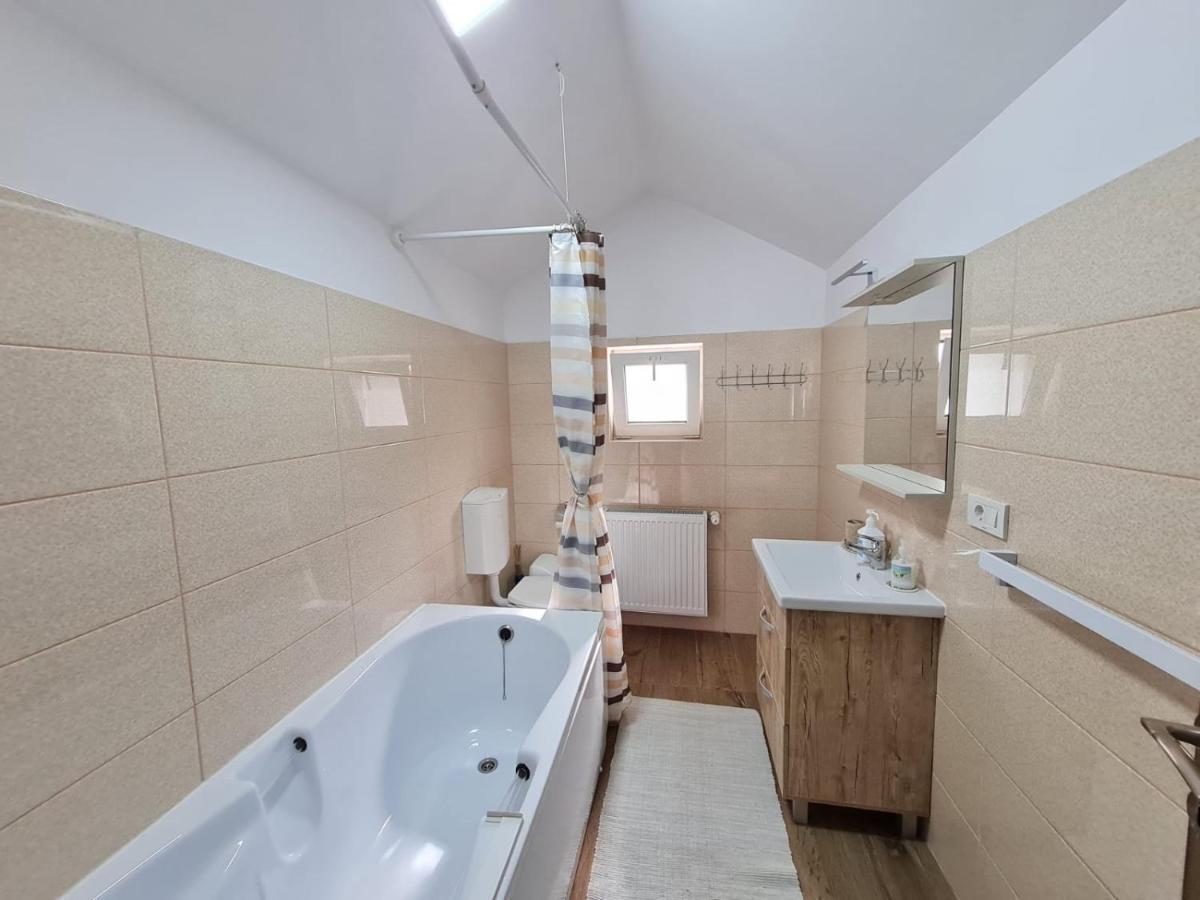 Autentic Adorabil Apartment Albestii Paminteni Eksteriør billede